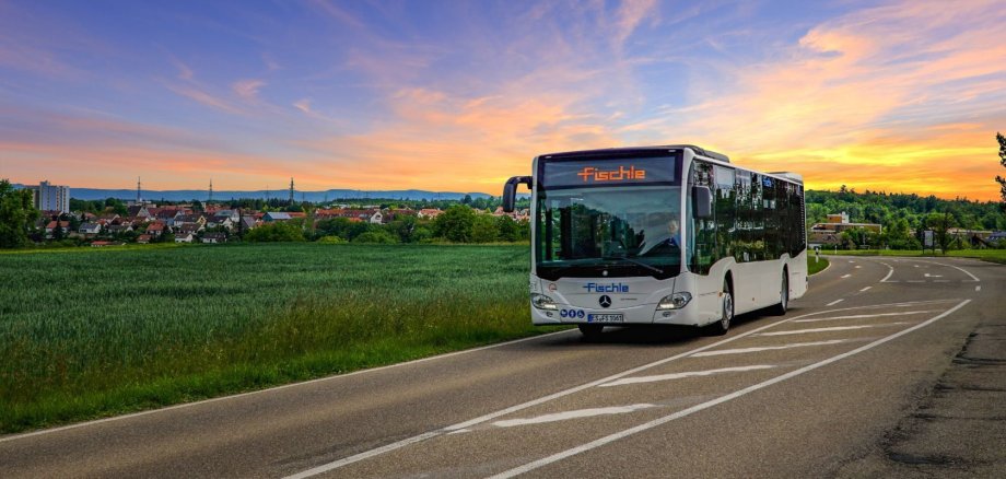Bus auf Fahrbahn