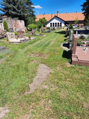 Nebenwege, die zu Grünwegen umgewandelt wurden, auf dem Lengfelder Friedhof – bevor die anhaltende Trockenheit einsetzte